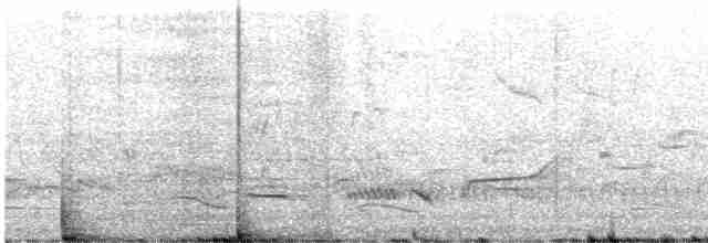 Eurasian Nightjar - ML618953921