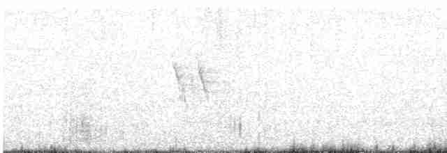 Lavandera Blanca - ML618955161