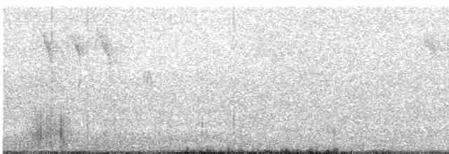 Gray Wagtail - ML618955172