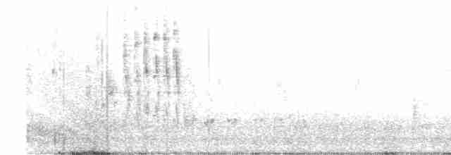 Marsh Wren (palustris Group) - ML618955615