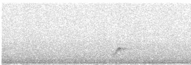 Eurasian Nightjar - ML618955692
