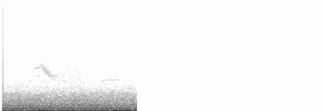Gri Yanaklı Bülbül Ardıcı - ML618956418