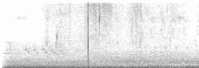 Віреон світлобровий (підвид gilvus) - ML618956621
