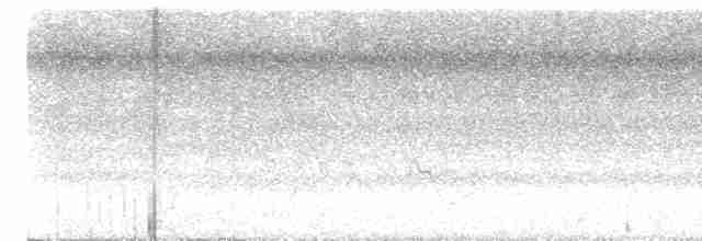 Weißstirn-Ameisenschnäpper - ML618956670