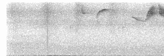 Spot-winged Thrush - ML618956693