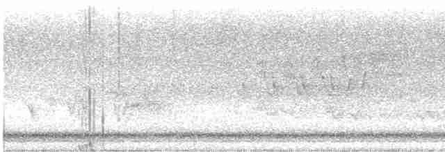 Cerulean Warbler - ML618957454