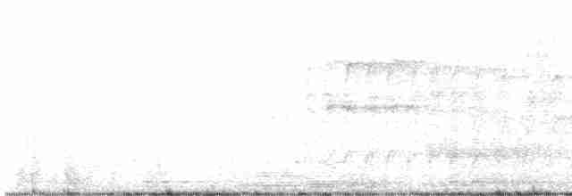 rorýs bělohrdlý - ML618957708