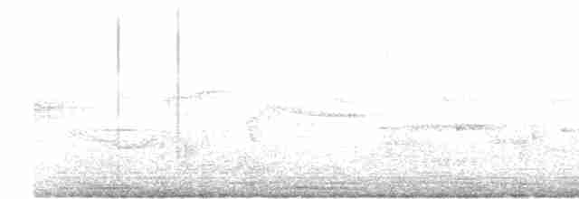 stentorsanger - ML618958124