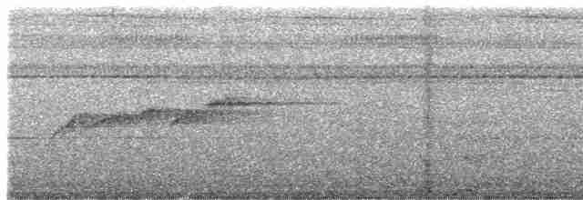 Gri Başlı Kanarya Sinekkapanı - ML618958751