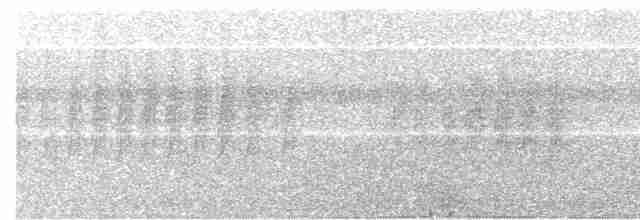 Kestane Karınlı Lacivert Öfonya - ML618959187