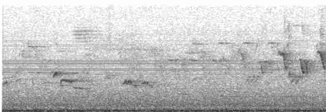 Черногорлая хвойница - ML618959320