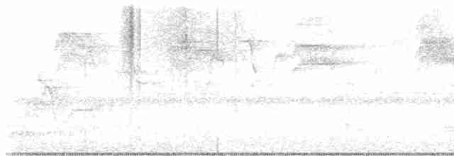 Дрізд-короткодзьоб Cвенсона - ML618959417