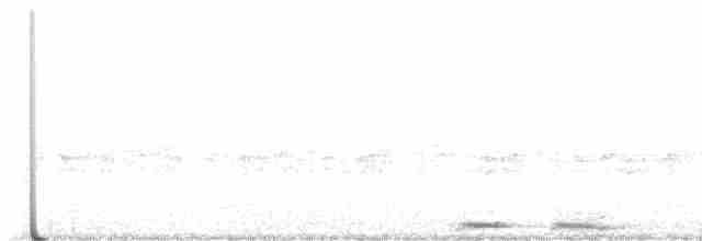 Сова-голконіг австралійська - ML618959564