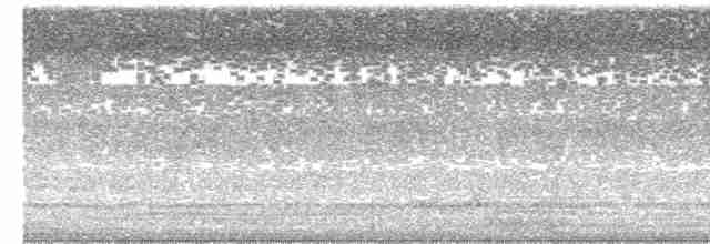 Black-crowned Night Heron - ML618961639