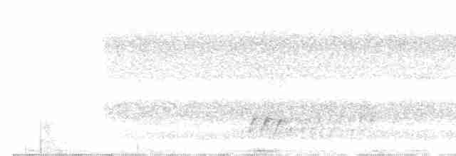 Uzun Kuyruklu Düdükçün - ML618961808