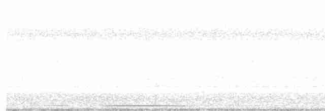 holub bledočelý - ML618962104