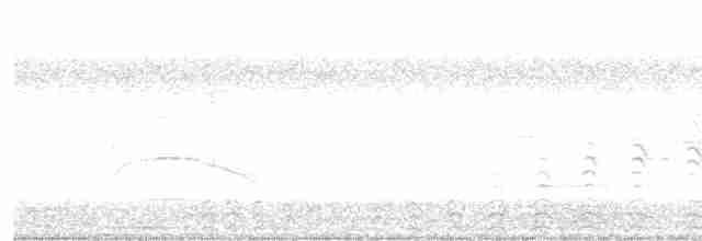 Common Gallinule - ML618962124