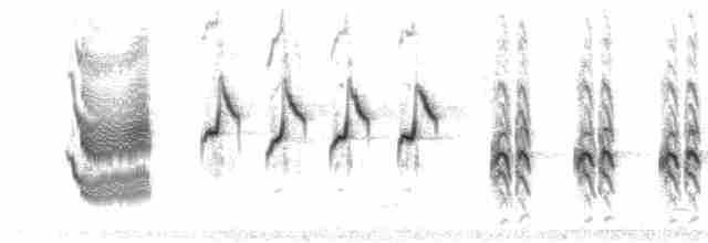 Sinsonte Calandria - ML618962156