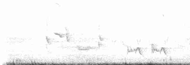 drozdec hnědý - ML618963088