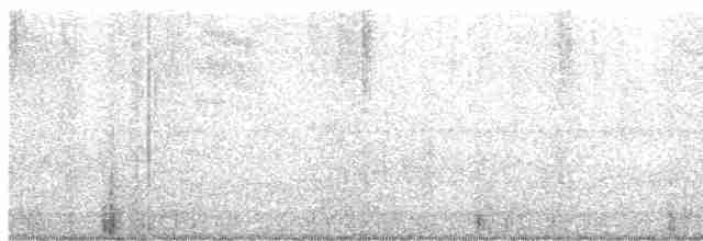 Paruline à gorge grise - ML618963544