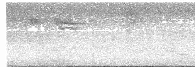 Белогрудый крапивник - ML618963592