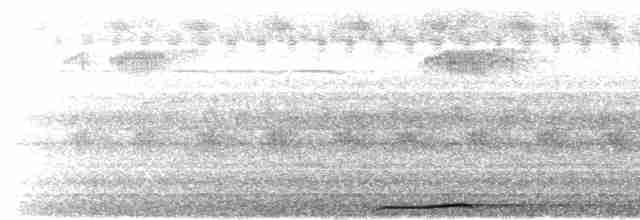Сова-голконіг далекосхідна - ML618963727