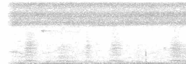 Мухолов-клинодзьоб сірий - ML618964289