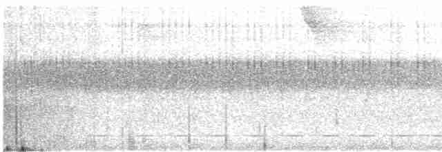 Streifenbrust-Ameisendrossel - ML618964936
