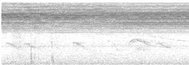 holub bledočelý - ML618965093