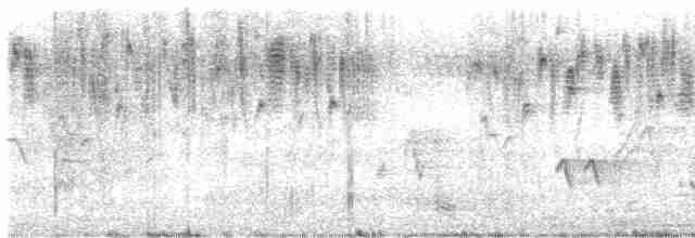 Great Reed Warbler - ML618965360