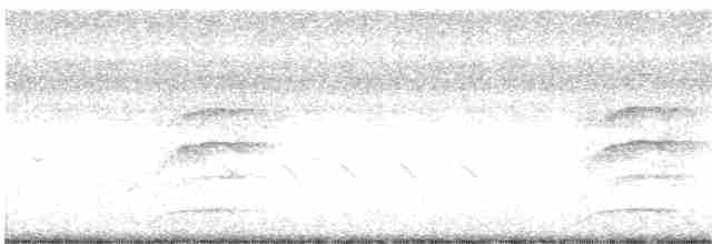 Каролинский крапивник [группа berlandieri] - ML618965513