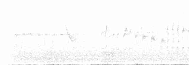 rorýs bělohrdlý - ML618965581