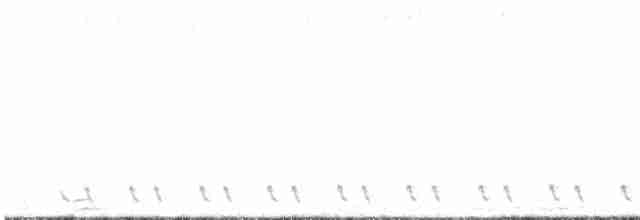 Red-necked Nightjar - ML618966083