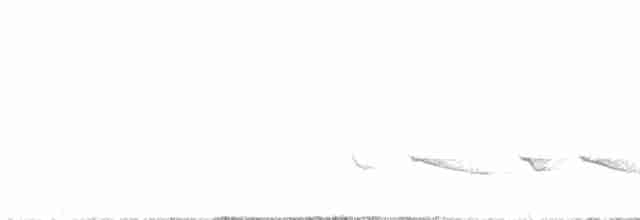 Kara Tepeli Baştankara - ML618966140