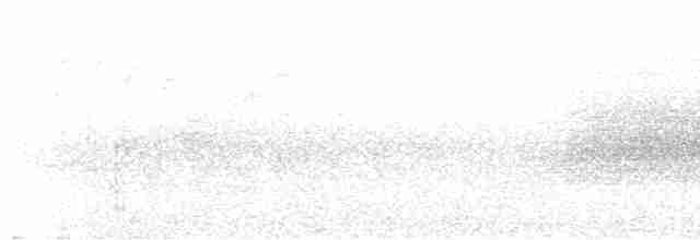 Краснохвостый колибри-отшельник - ML618966161