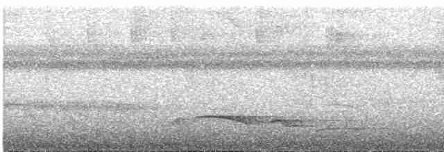 Зернолуск білогорлий - ML618969423