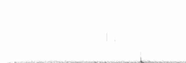 European Starling - ML618969711