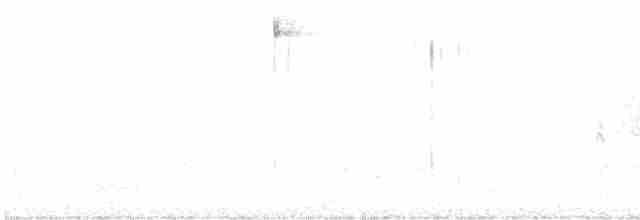 svartbrystparula - ML618970035