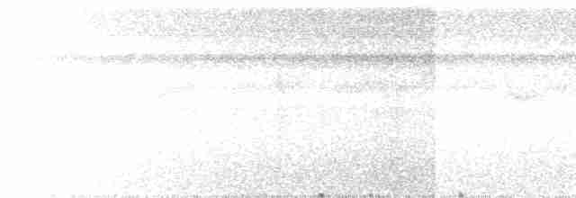 Ерміт смугастохвостий - ML618970068