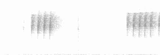 Schwarzkehl-Ameisenvogel - ML618970267