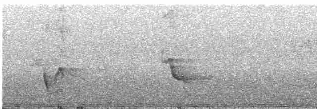 Пересмішник жовтодзьобий - ML618971999