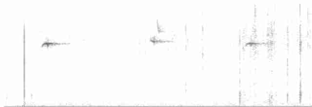 kolibřík blankytohrdlý - ML618972120