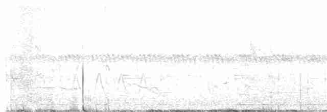 Eastern Orphean Warbler - ML618973225