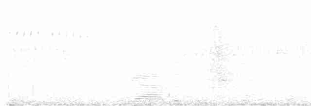 Черноспинный трёхпалый дятел - ML618974224