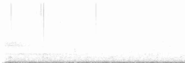 Black-throated Green Warbler - ML618974853