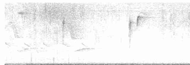 svartbrystparula - ML618975328