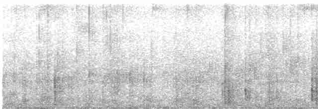 Chiriqui Quail-Dove - ML618977230