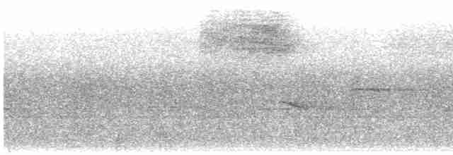 Дрізд-короткодзьоб сірий - ML618978370