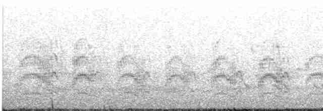 Common Tern - ML618979221
