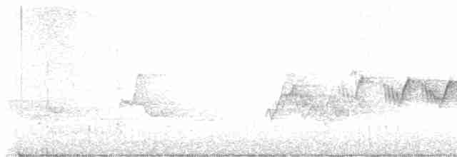 Cerulean Warbler - ML618979356